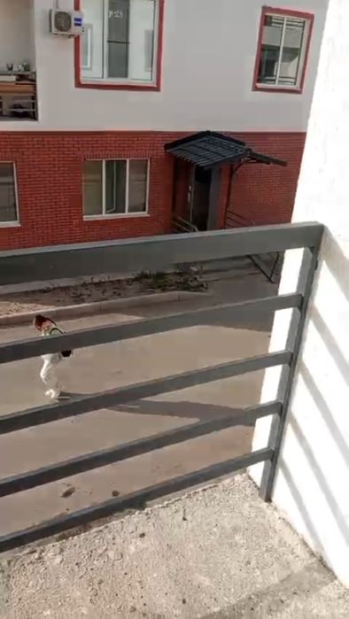 Продам квартиру в селе Ельтай