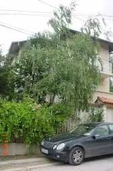 Дава се под наем Къща в Банкя - 210 кв.м за 1300 € - Снимка #1