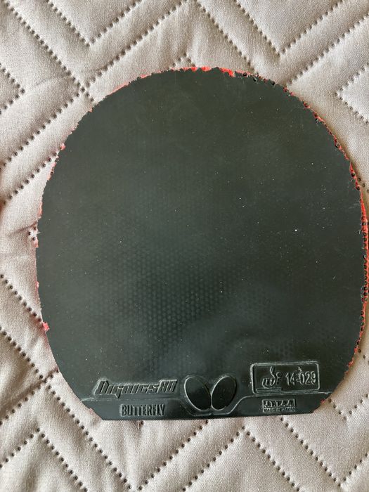 Fete tenis de masa Butterfly Dignics