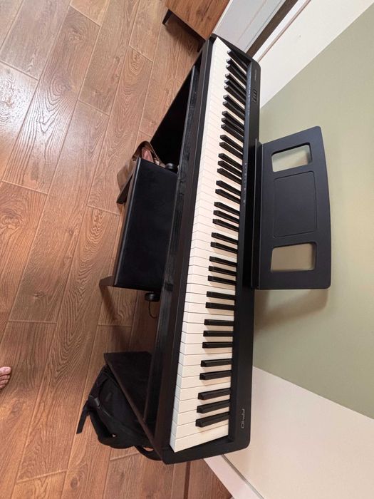 Clapa Roland FP10 + Suport lemn + scaun