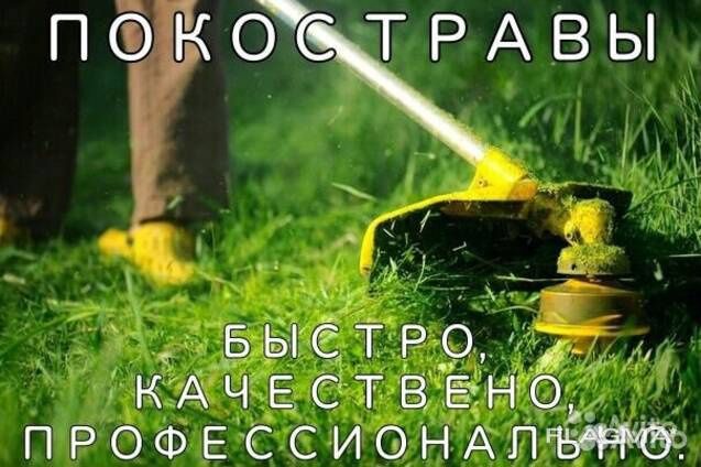 Покос Травы Треммером 24/7