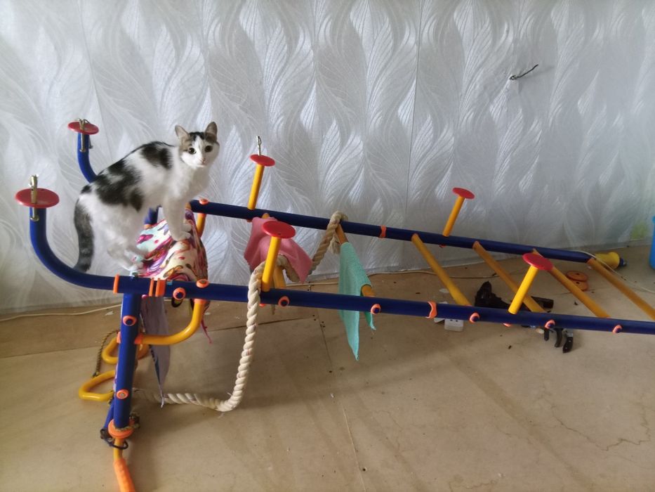 Спортивный игровой комплекс