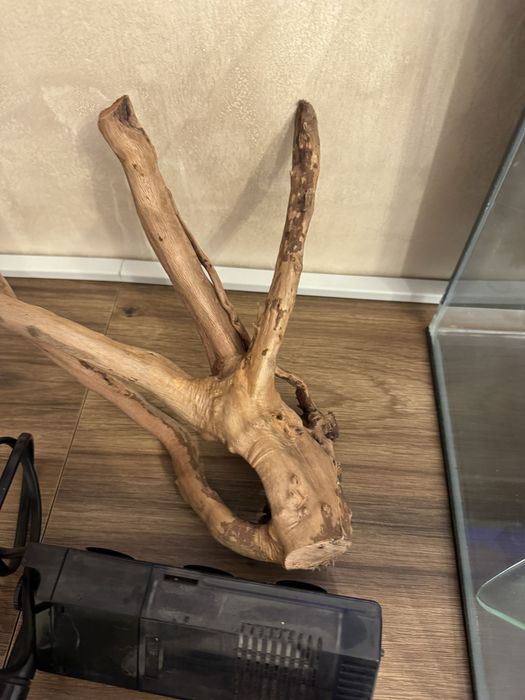 Vând acvariu complet – ideal pentru Betta / creveți / melci