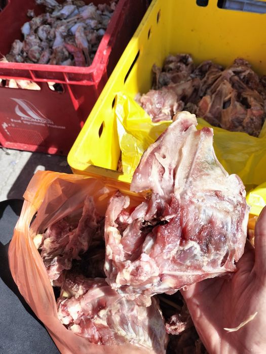 Корпус,спинки курочек для собак