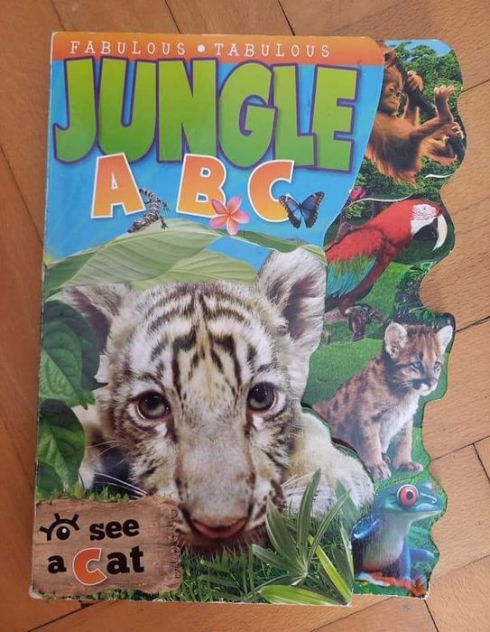 Cărți engleza cartonate