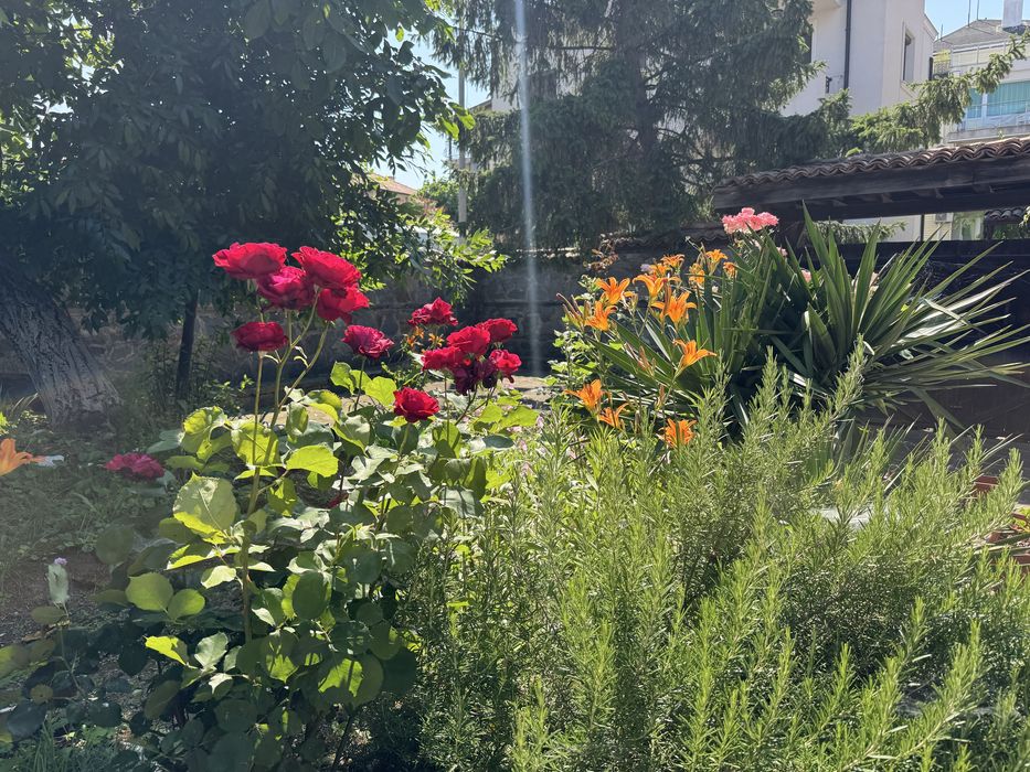 Къща за гости вила