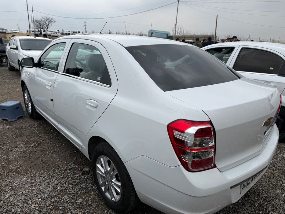 Кобалть 2023 тозза