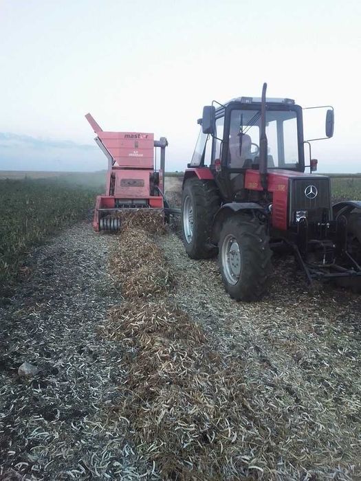 Продавам български бял боб сорт Еликсир реколта 2026 г.