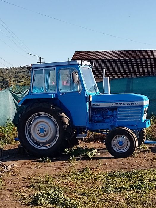 Vand sau schimb cu vaci ,vitei ,