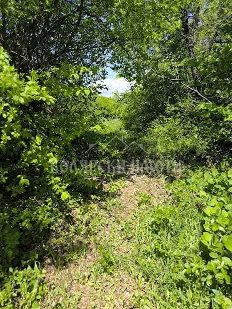 Продава се Парцел в с. Арбанаси, Област Велико Търново - 601 кв.м за 41 €/кв.м - Снимка #3