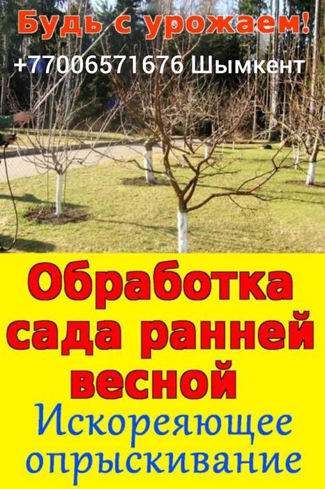 Обработка сада весной