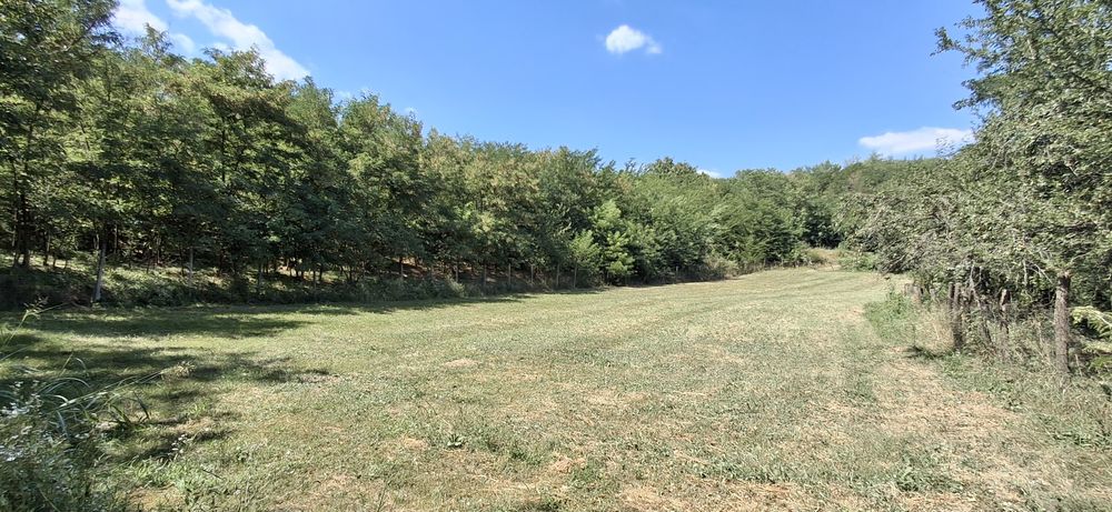 Teren intravilan ,zona linistita !