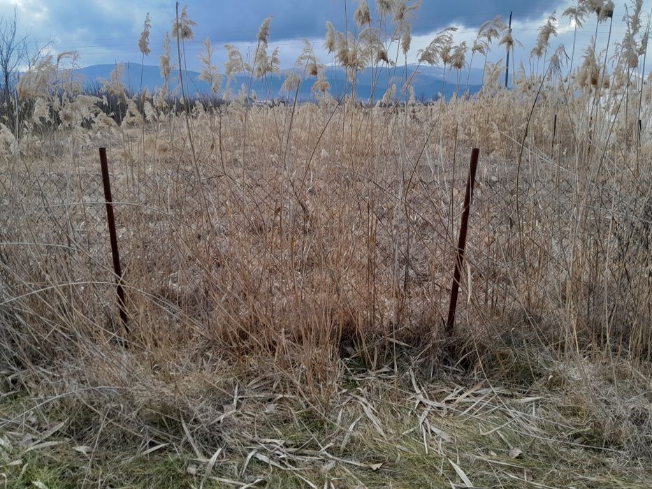 Продава се Земеделски имот в с. Жиленци, Област Кюстендил -  кв.м за 3800 €/дка - Снимка #5