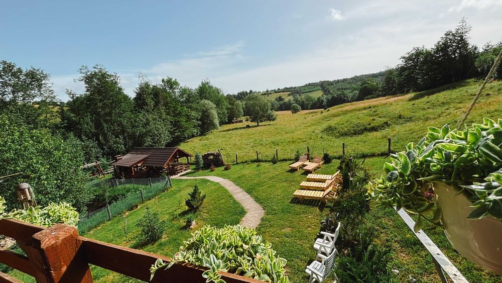 Cabană + 1,1 ha teren în Cacica | 150+ recenzii 5 stele