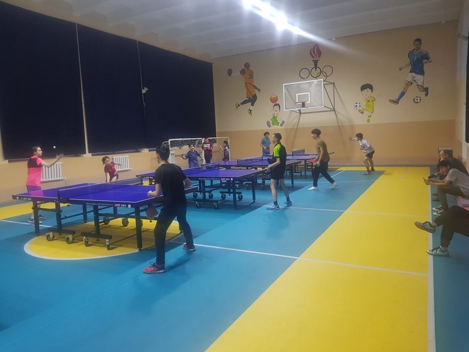 Настольный теннис. Групповые и индивидуальные занятия