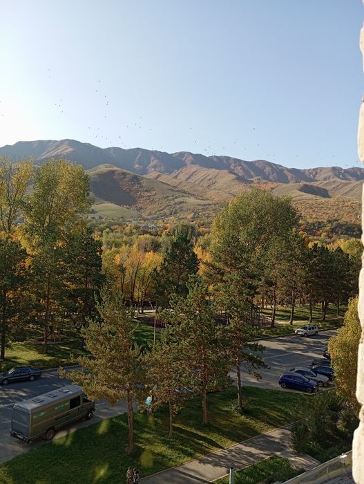 аренда посуточно