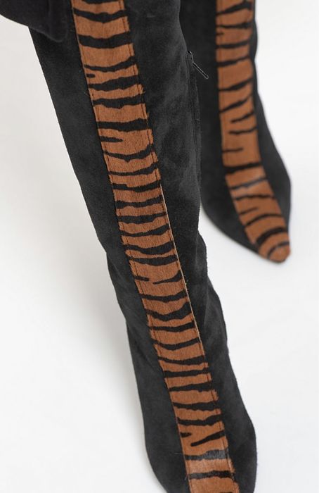 Ботфорты Just Cavalli