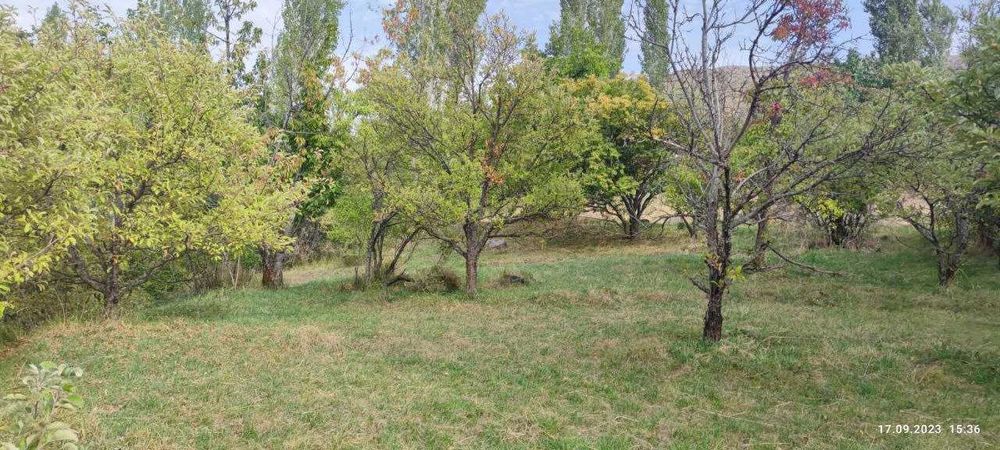 Участок под строительство в Чимгане