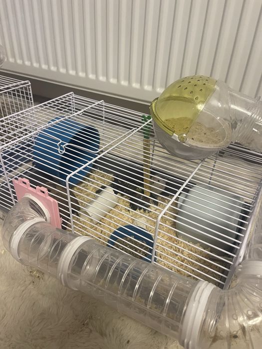 Hamster+cusca negociabil