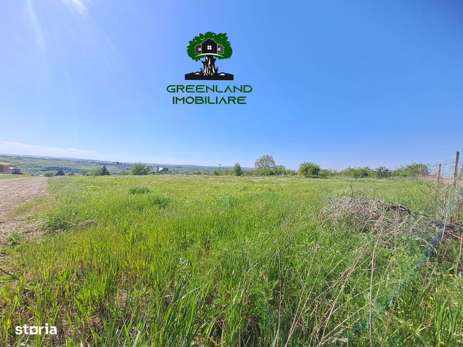 Teren Intravilan, 640 mp, Vedere panoramica, toate Utilitatile, Bucium