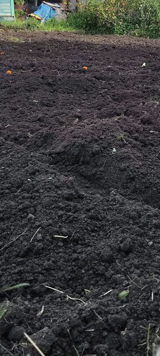 Продам дачу с баней в  СТ  Борки
