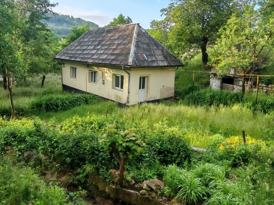Teren intravilan CAVNIC si gospodarie batraneasca