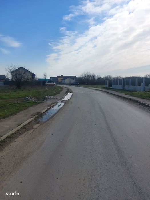 Cornetu - Crizantemelor, Stradal, 3900mp