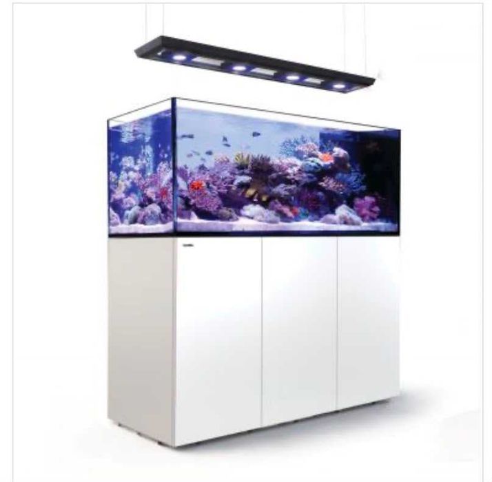 Vand Acvariu Marin Red Sea