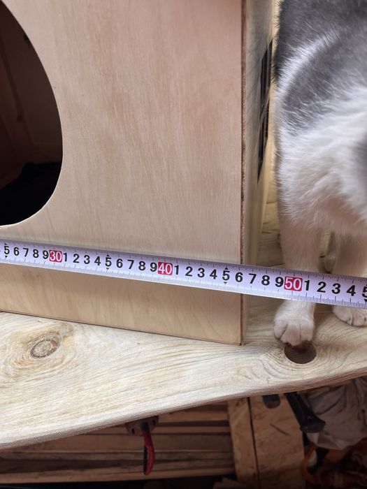 Кошкин дом видео на ватцап отравлю