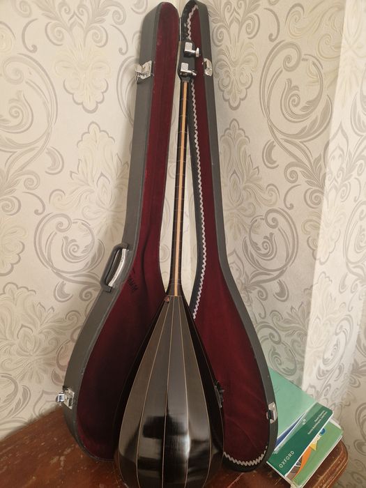 Электронный домбро