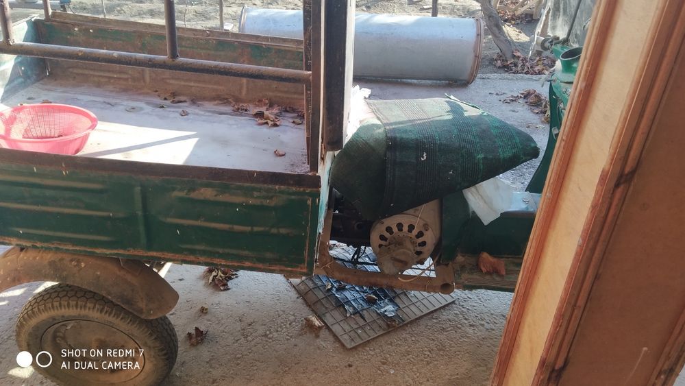 Mataroʻl.     муравей