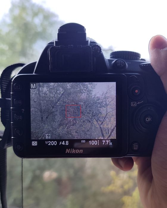 Сдаётся в аренду фотоаппарат nikon d3100