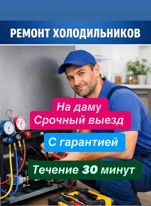 Ремонт холодильников витрины в Караганде на даму