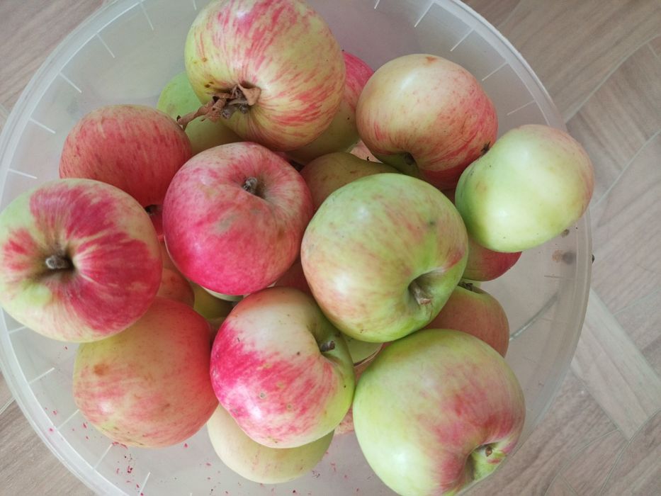 Продам  Домашнию Сливу Яблоки