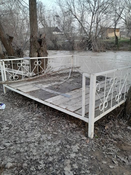 Kravat sotladi2.5 2.5