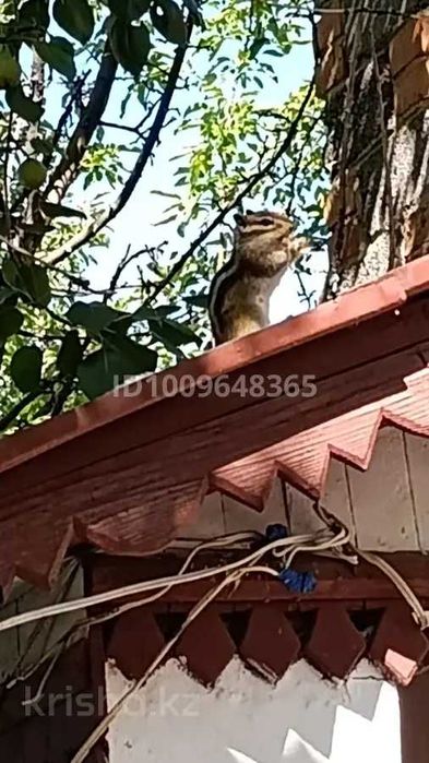 Продам дачу в "Авиаторе"