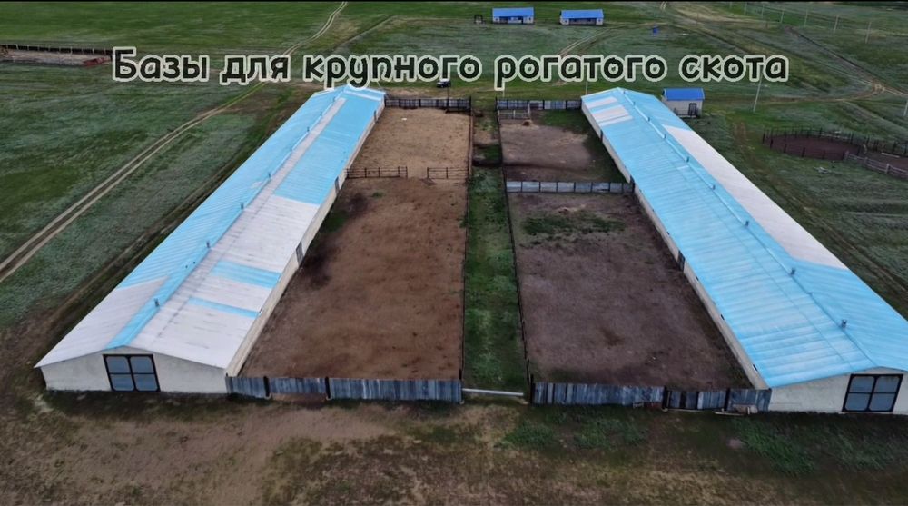 Продам Крестянское Хозяйство