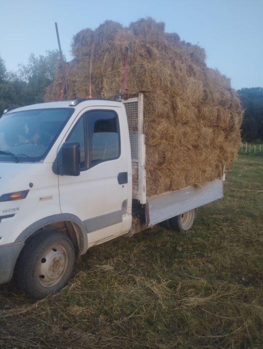 Vând baloți dreptunghiulari de fân, iarbă și lucerna.