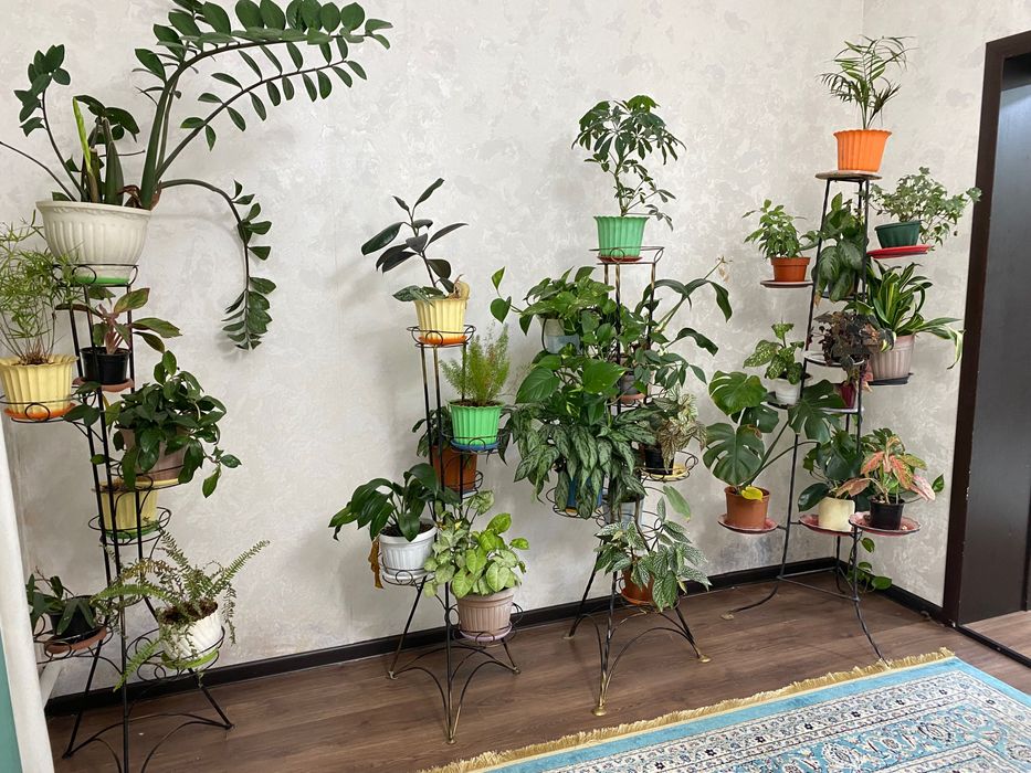 Цветы с подставкой