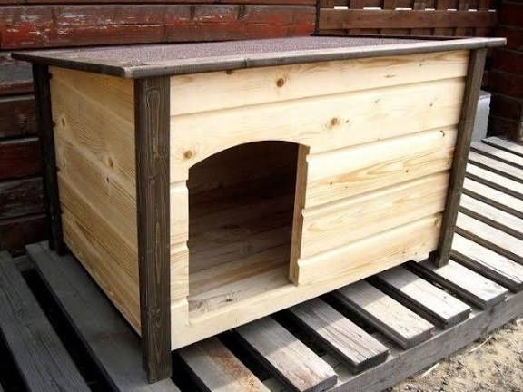 Валеры для собак Будки