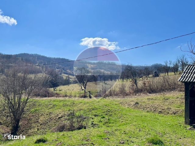 Teren 7,495mp Barsana / Valea Muntelui