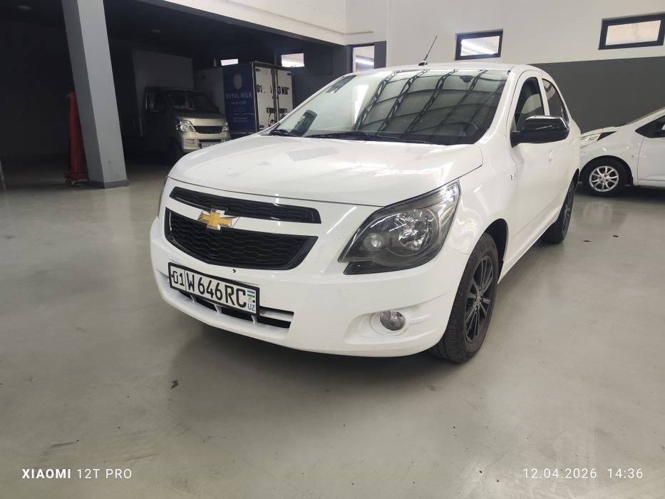 Cobalt midnight MSM ARENDAga