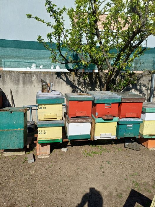 De vânzare, lichidare stupina