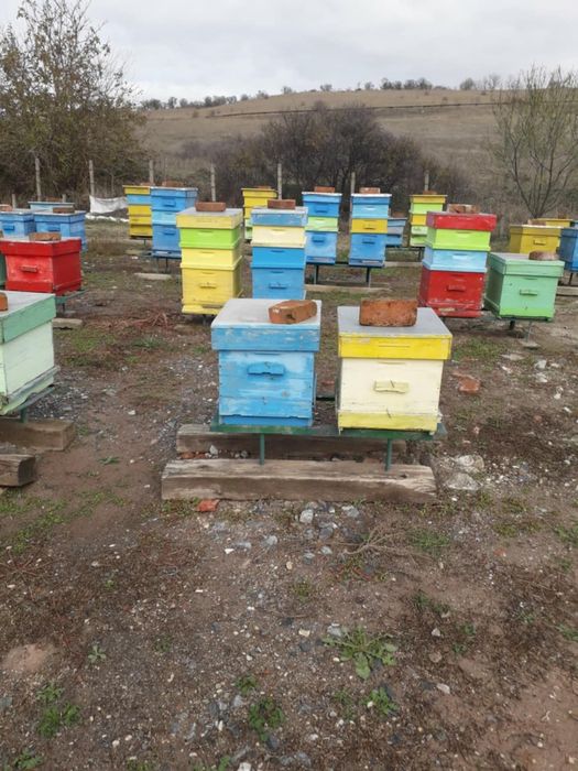 Кошери ДБ 10 рамкови