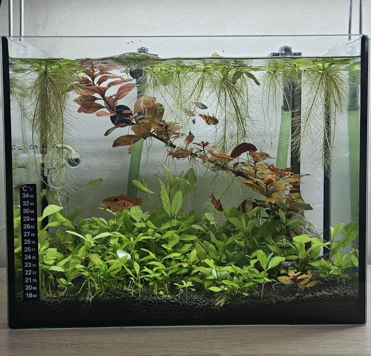 Аквариум ёмкость 30 литров