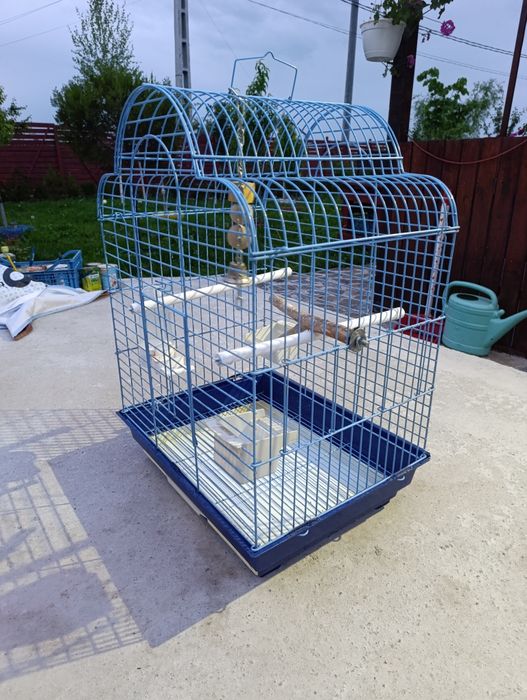 Cușcă mare de păsări