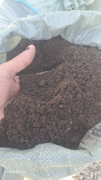 Gumas sotiladi kilosi 1000 kg  shahar buylab dostafka bor  hizmati mav