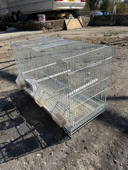 Colivii cusca papagali canari