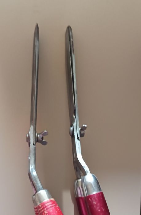 Ножици за храсти