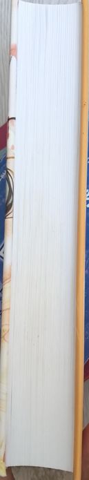 «Благословение небожителей» 1 и 2 том